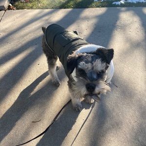 Meet your Posher, Allyson